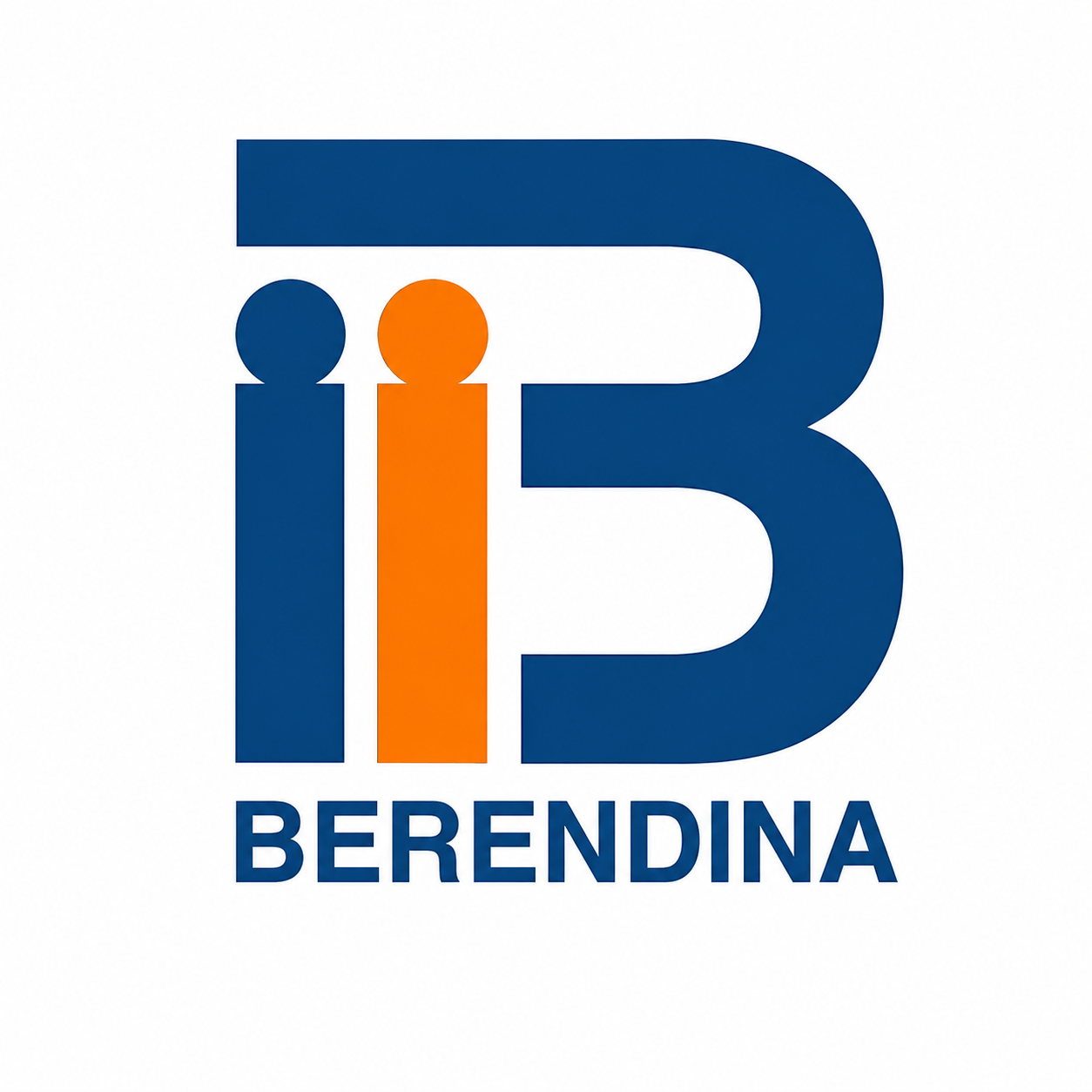 Working with Berendina Development Services to support eligible youth.